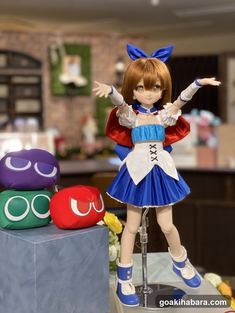 Anime Figure Display
