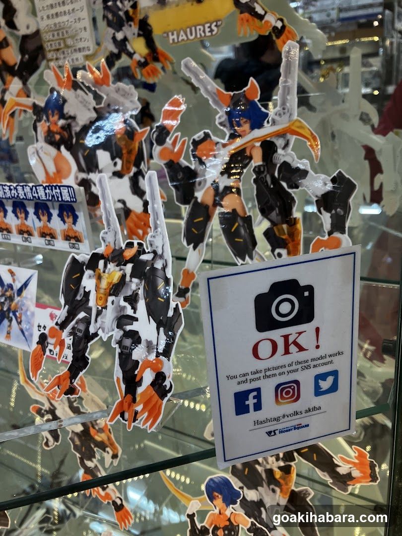 Model Figure Display Case