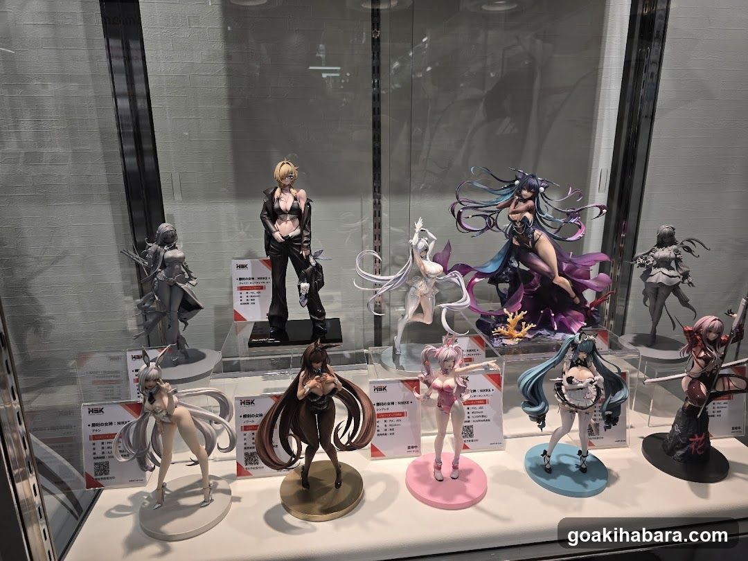 Anime Figure Display Case