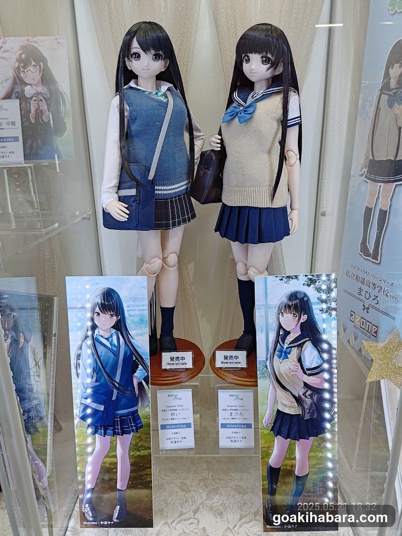 Anime Merchandise Display