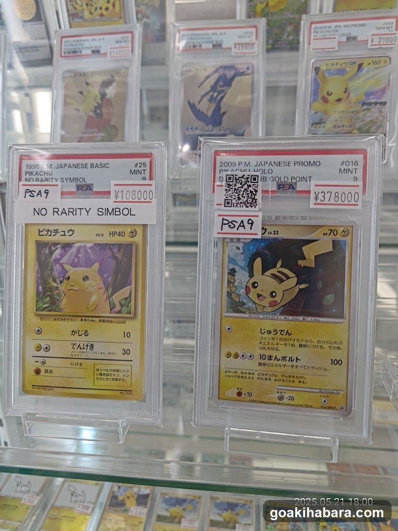 Pokémon Card Display Case