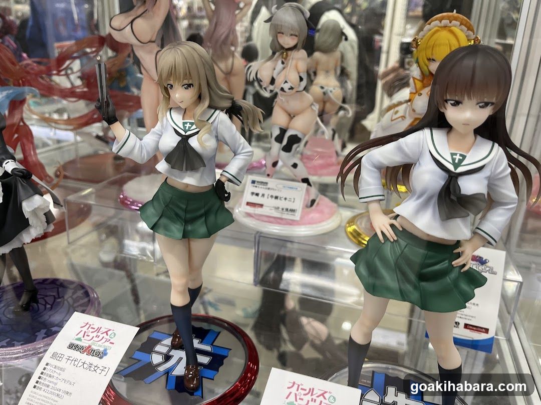 Figure display case
