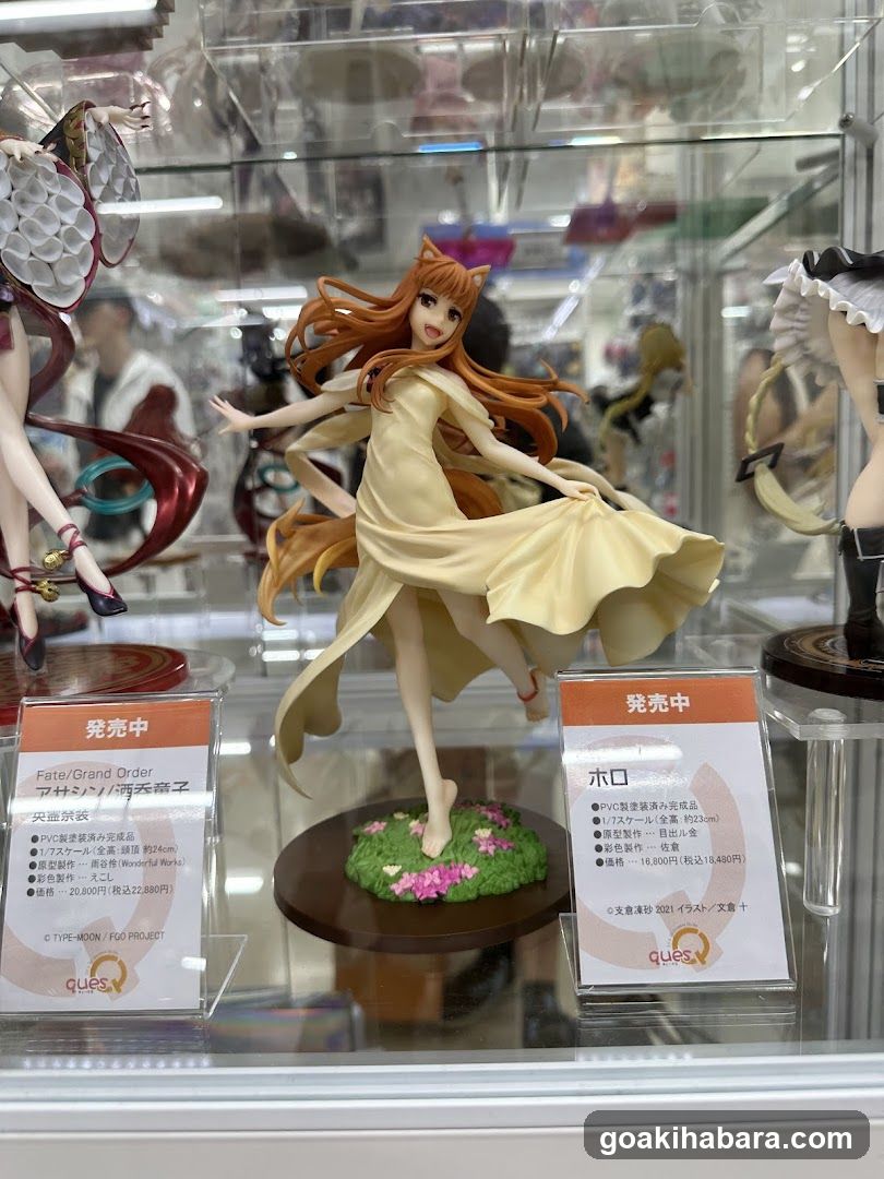 Anime Figure Display Case