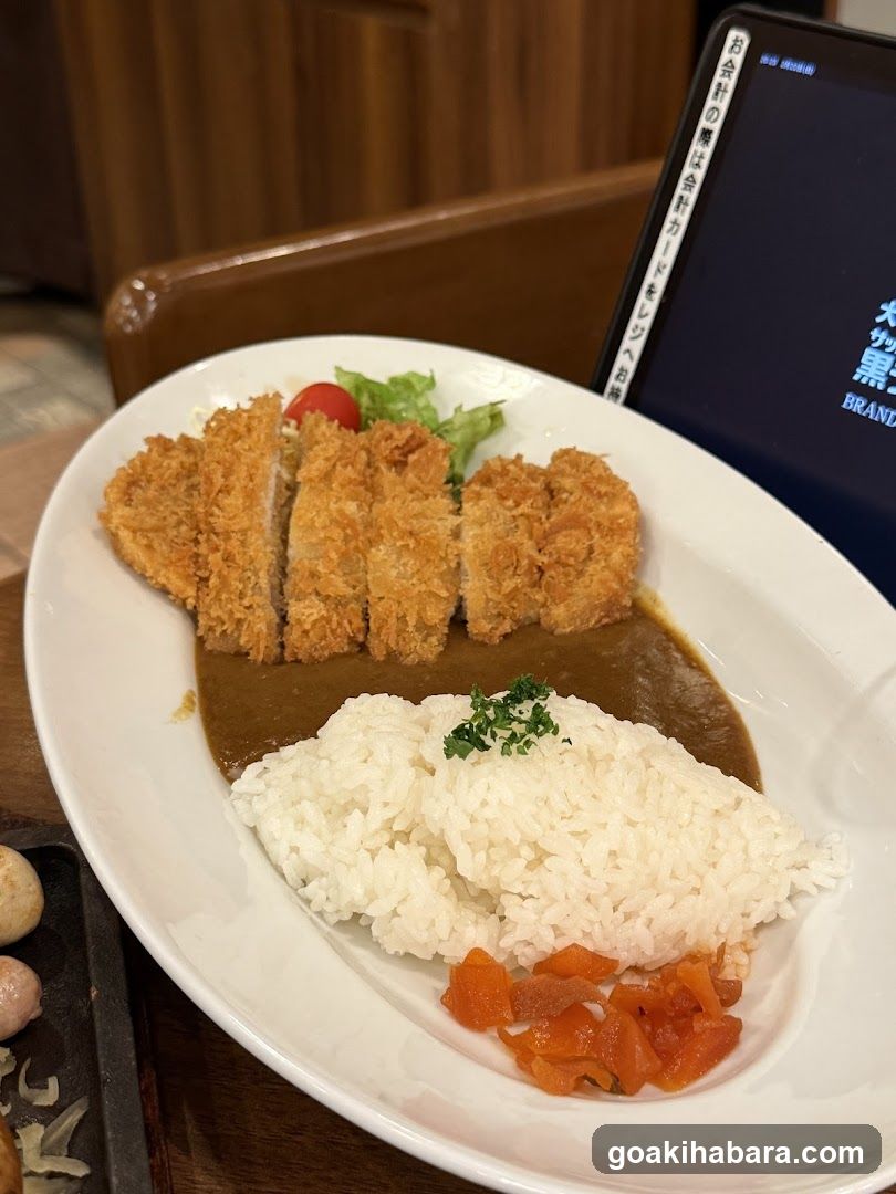 Katsu Curry Plate