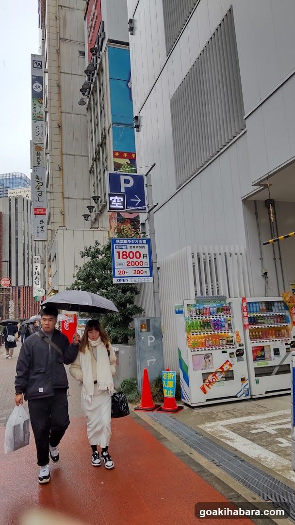 Urban Street Scene with Couple Walking in Rain