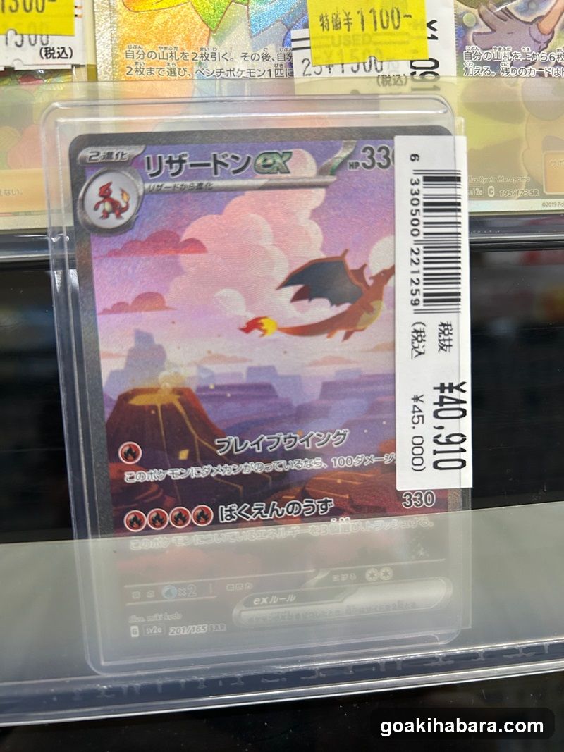 Pokemon Card Display