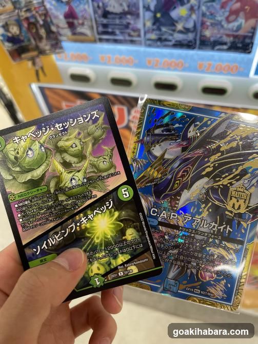 Trading Card Display