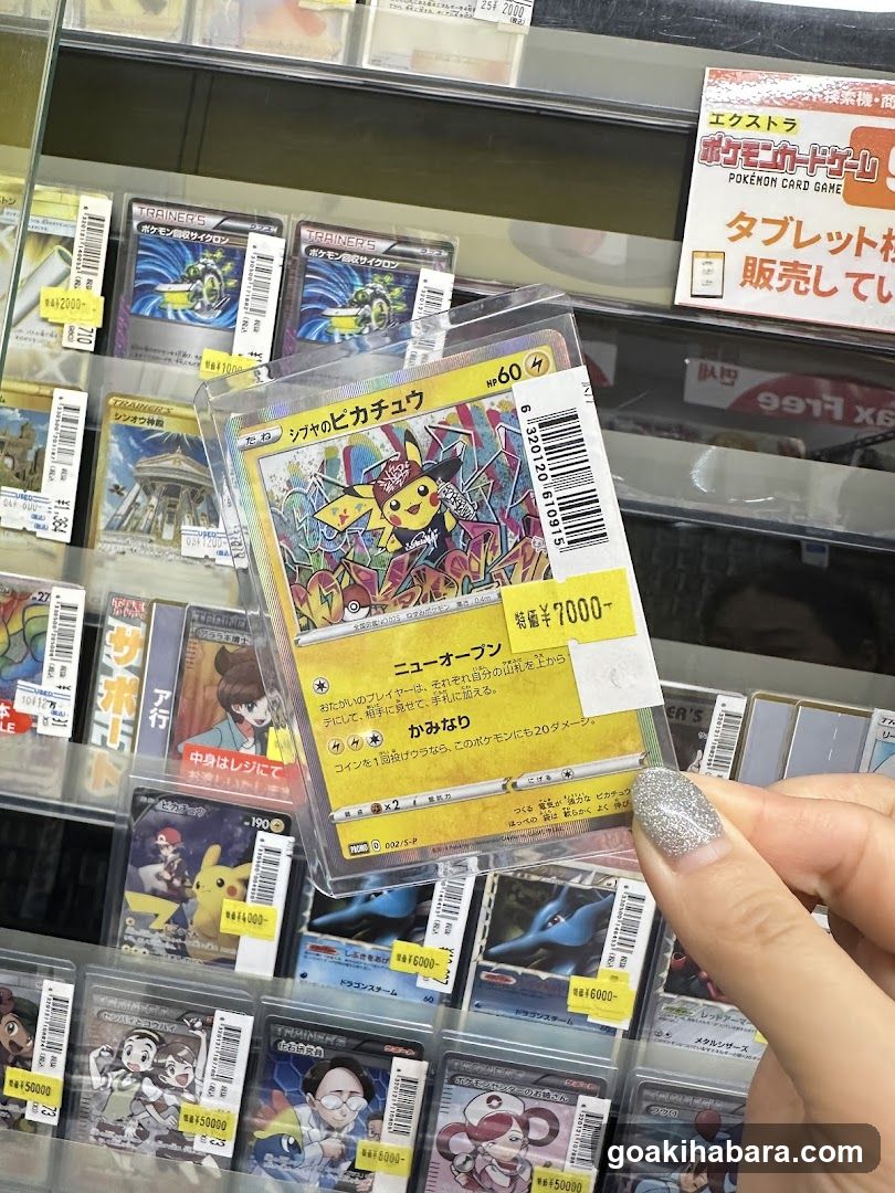 Pokemon Card Display