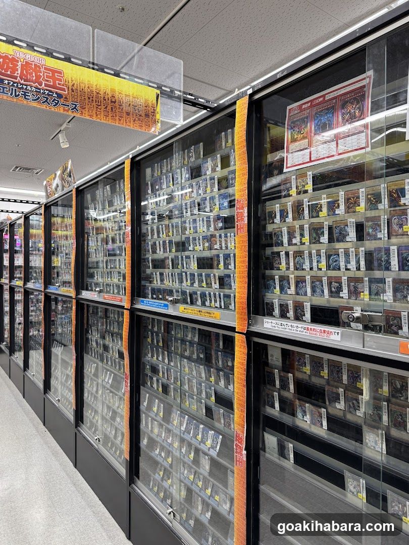 Card Game Store Interior