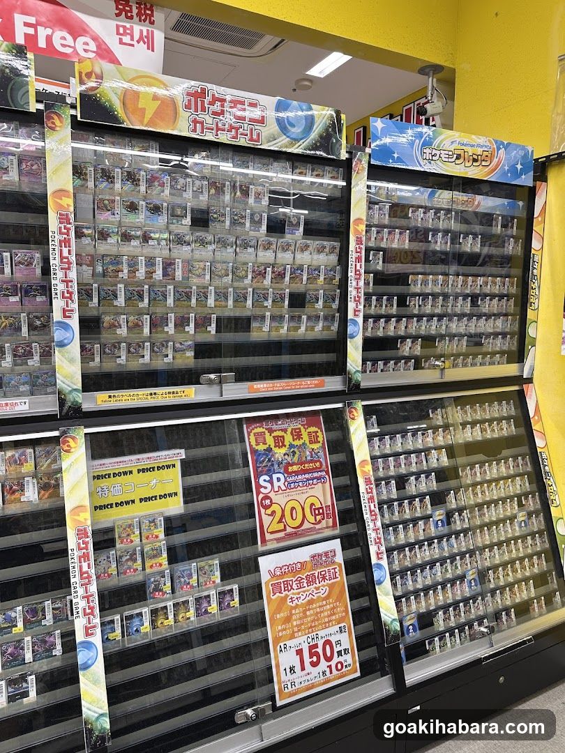 Pokémon Card Game Display