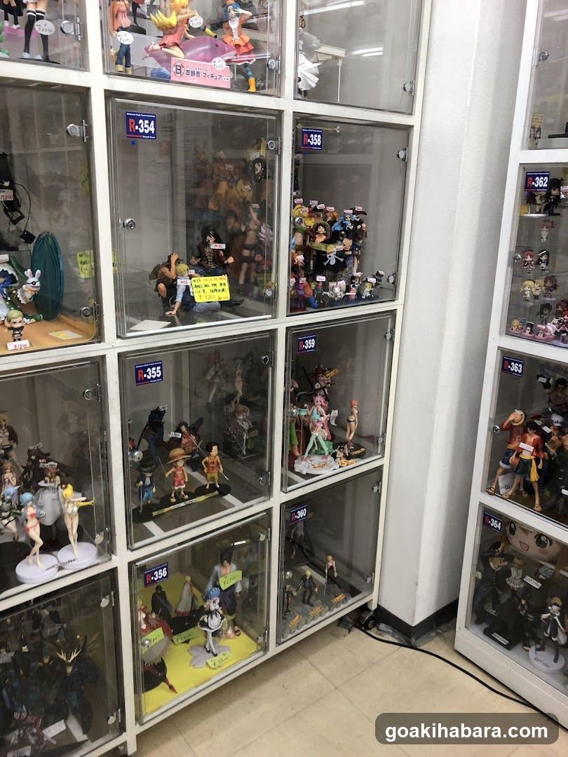Anime Figure Collection Display