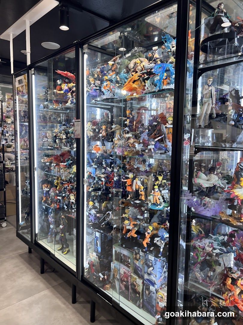 Anime Figure Collection Display