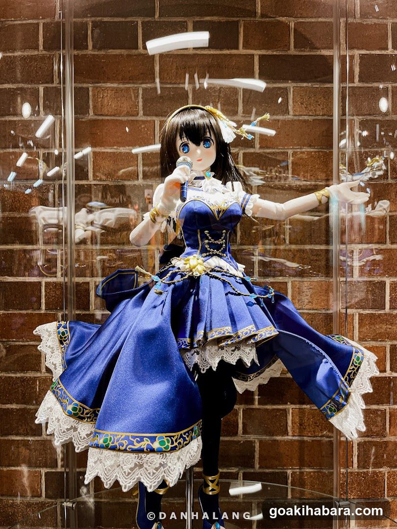 Doll Display