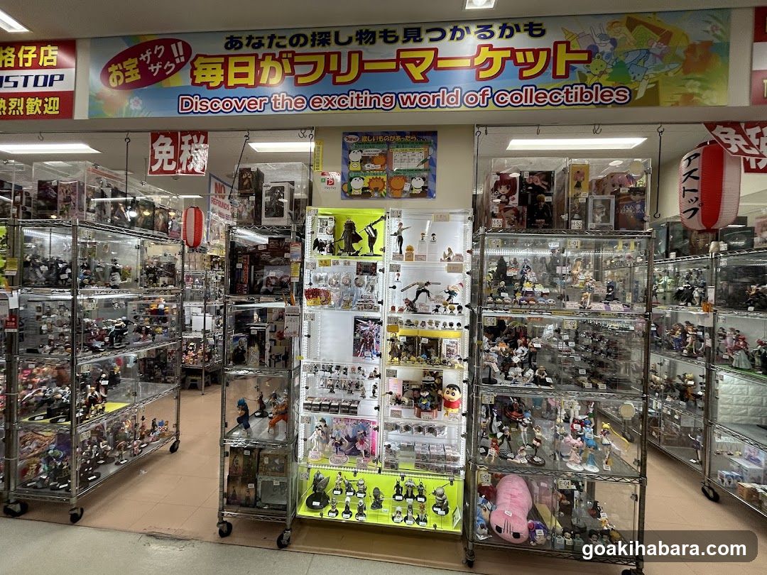 Collectibles Store Interior