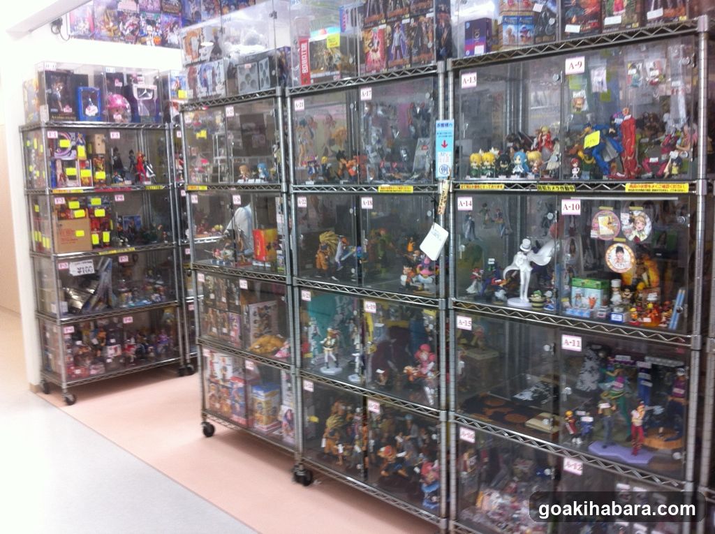 Toy Collection Display