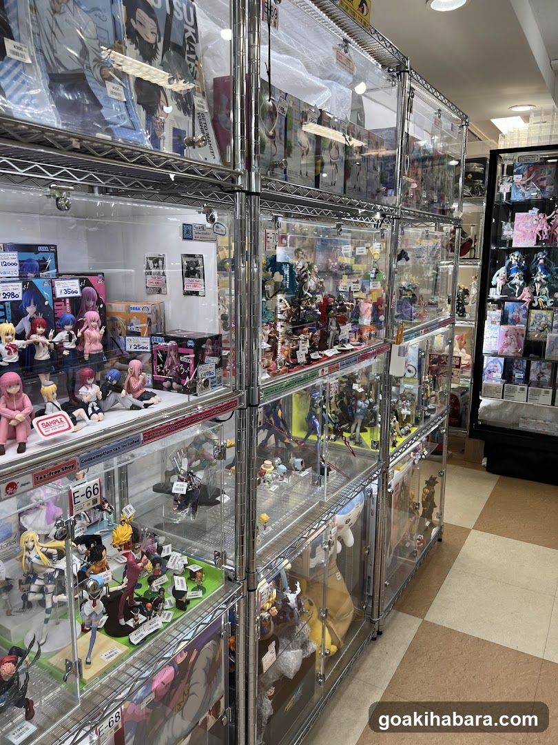 Anime Figure Store Interior