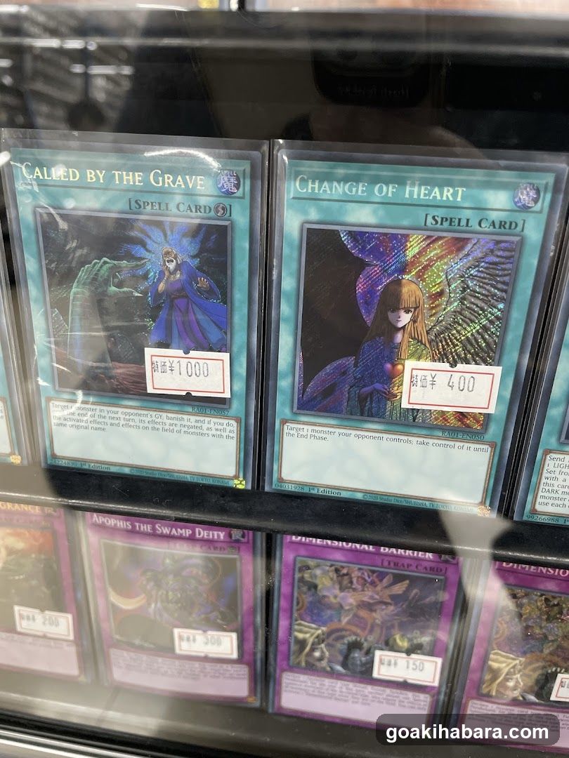 Trading Card Game Display Case