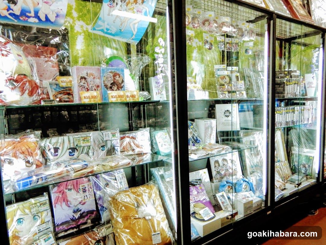 Anime Merchandise Display