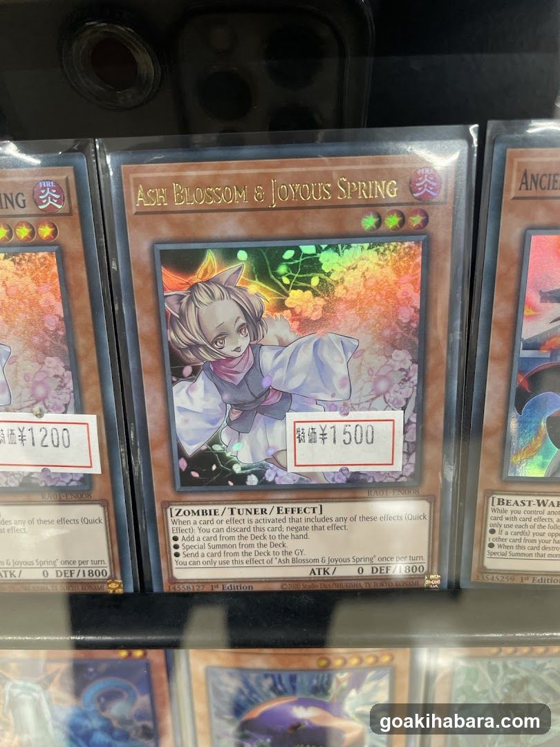 Yu-Gi-Oh! Trading Card Display
