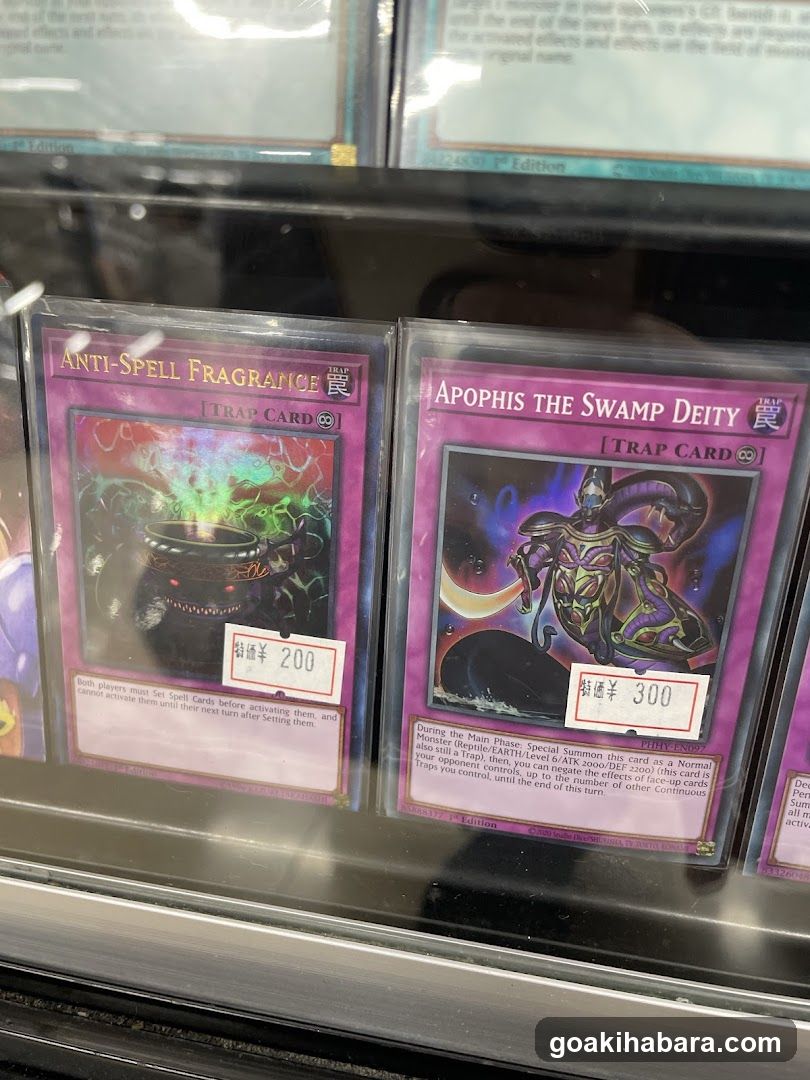 Yu-Gi-Oh! Trading Cards Display Case