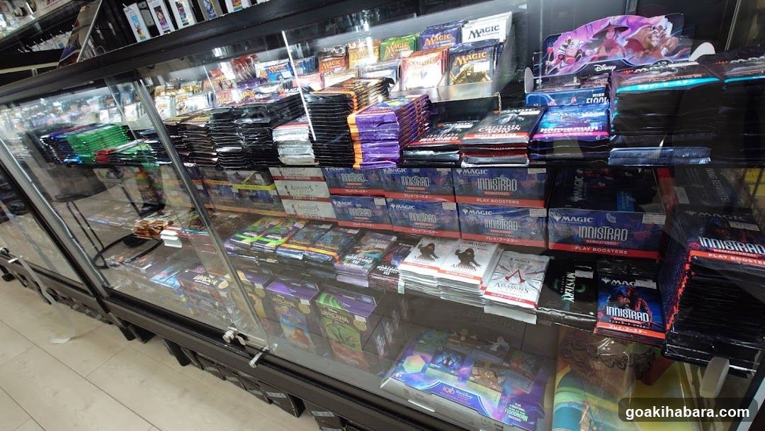 Collectibles Display Case