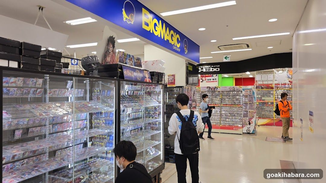 Big Magic Store Interior