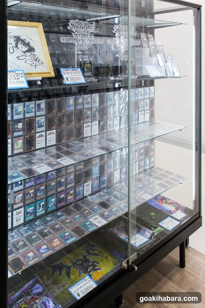 Card Game Display Case