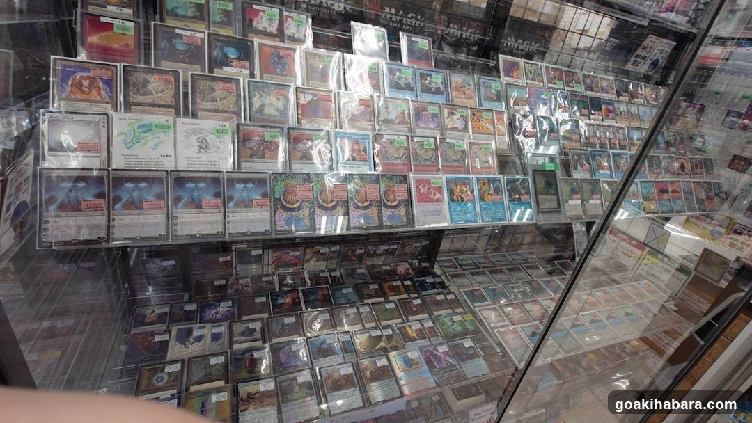 Card Game Display Case