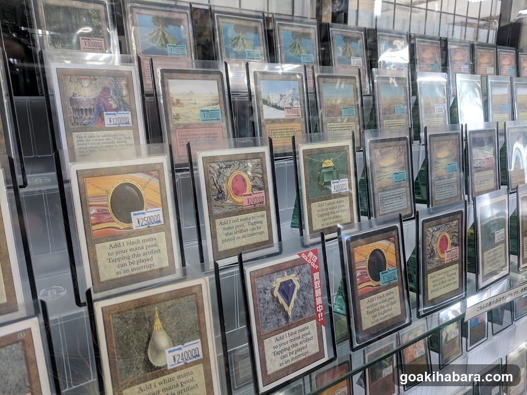 Trading Card Display Case