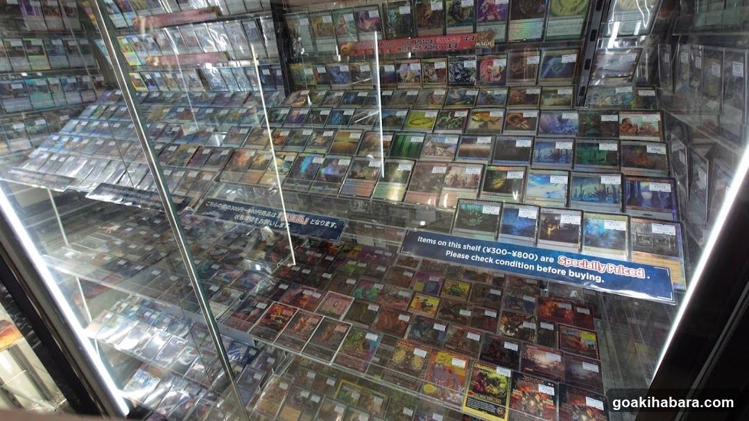 Card Game Display Case