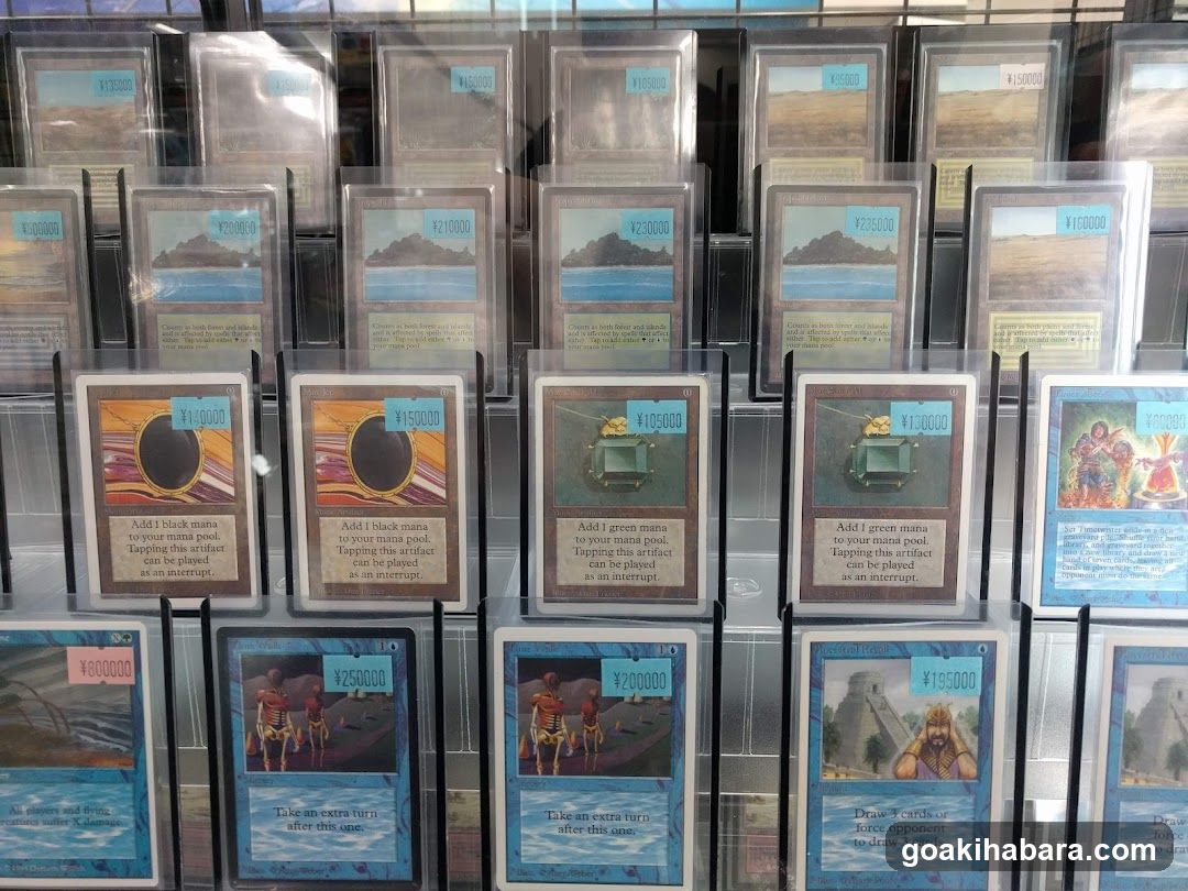 Trading Card Display Case