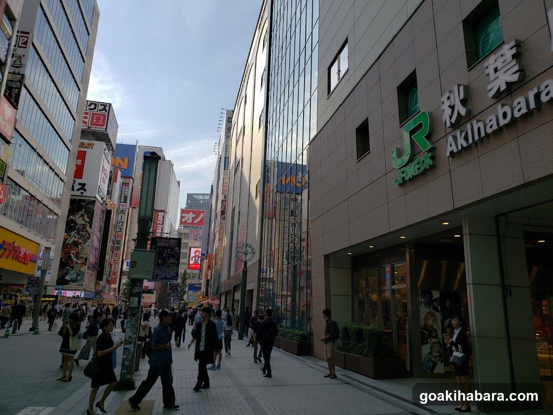 Akihabara Street Scene