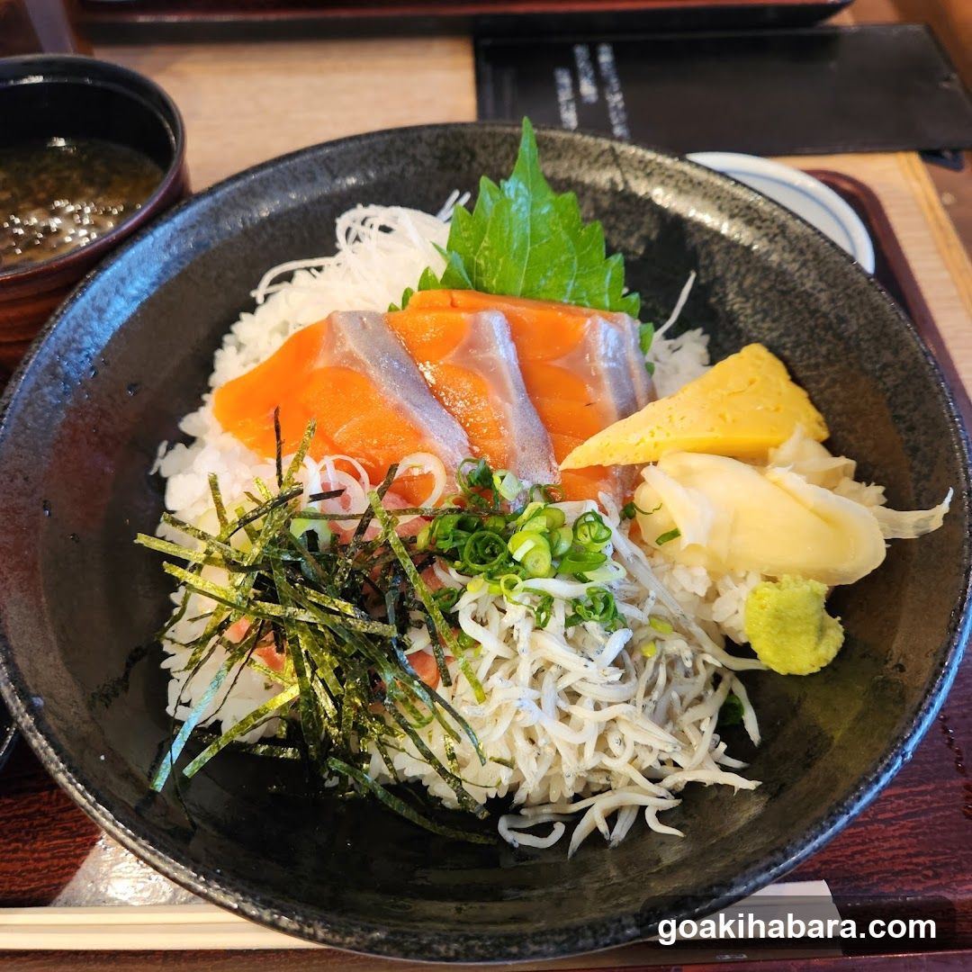 Sashimi Rice Bowl