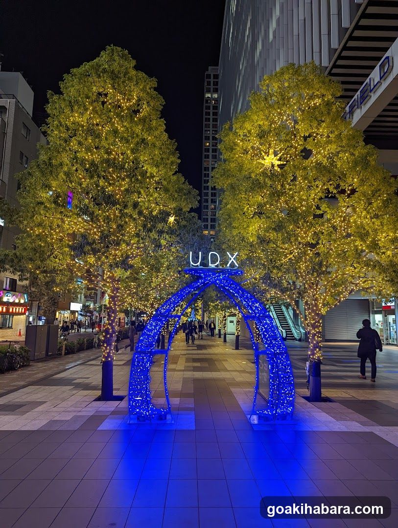Night Street Scene with Decorative Lights