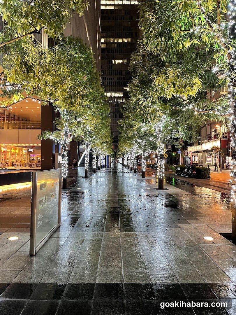 Night Street with Decorated Trees