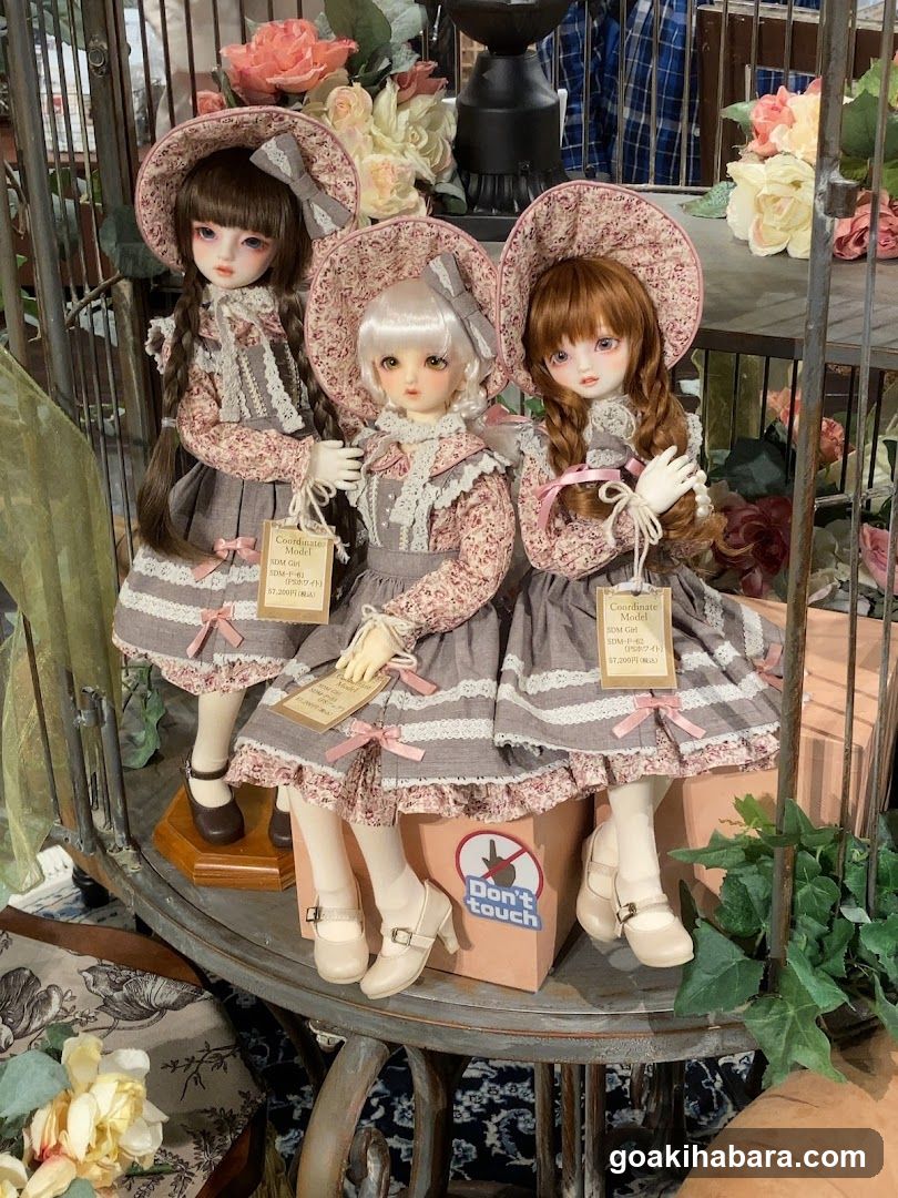 Blythe Doll Display