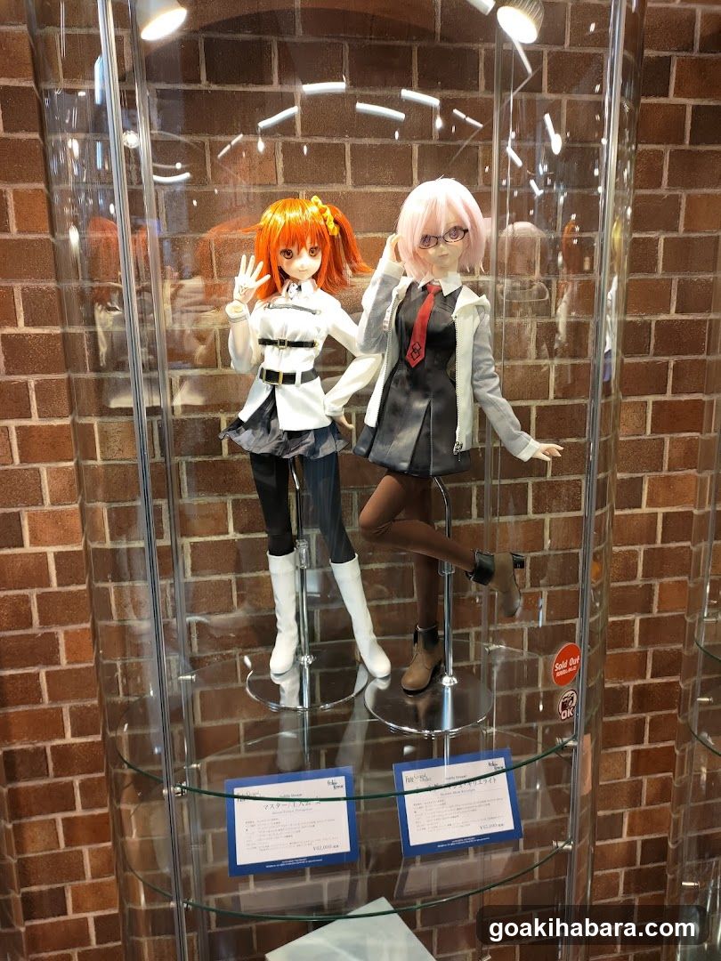 Anime Doll Display Case