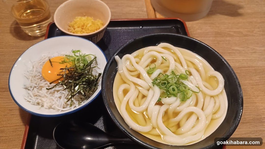 Udon Noodle Meal with Egg and Pickles