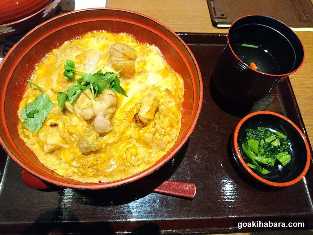 Japanese Chicken Curry Rice Bowl