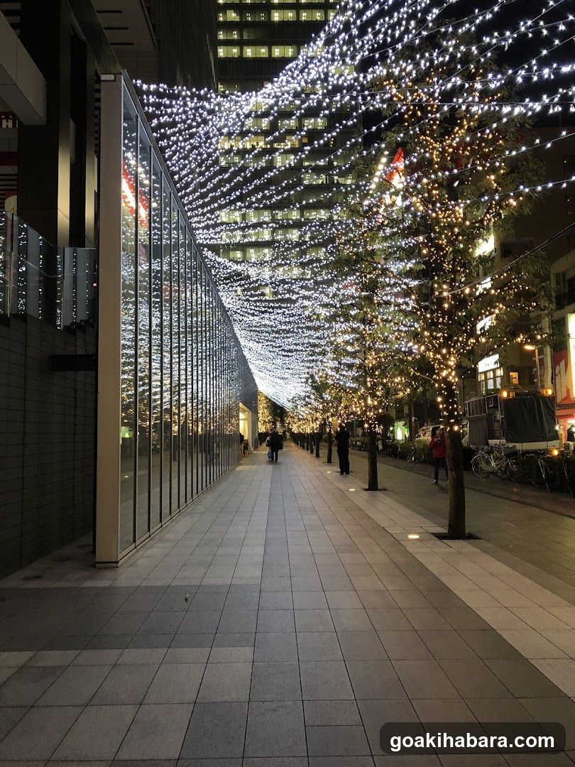 Night Street with String Lights