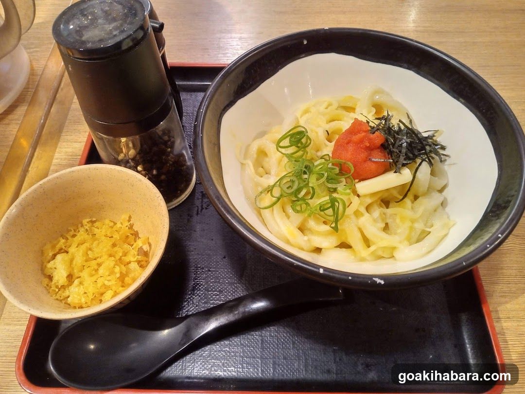 Udon Noodle Bowl with Toppings
