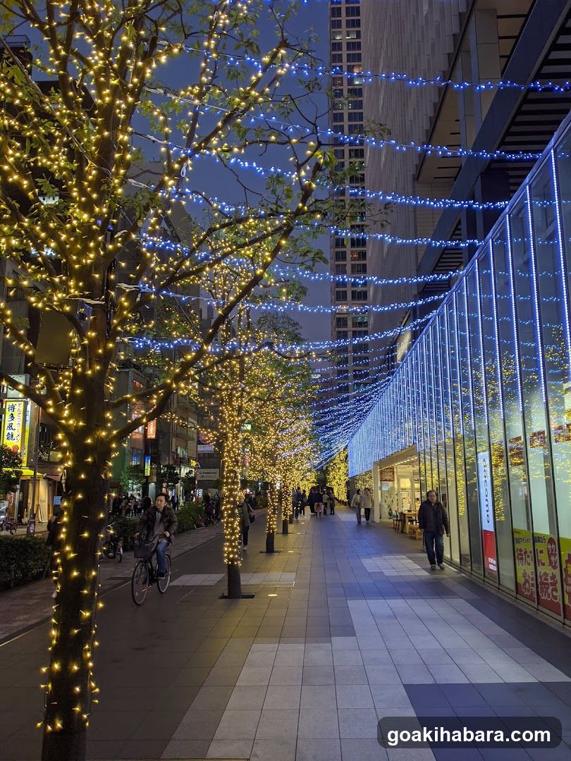 Night Street with Festive Lights