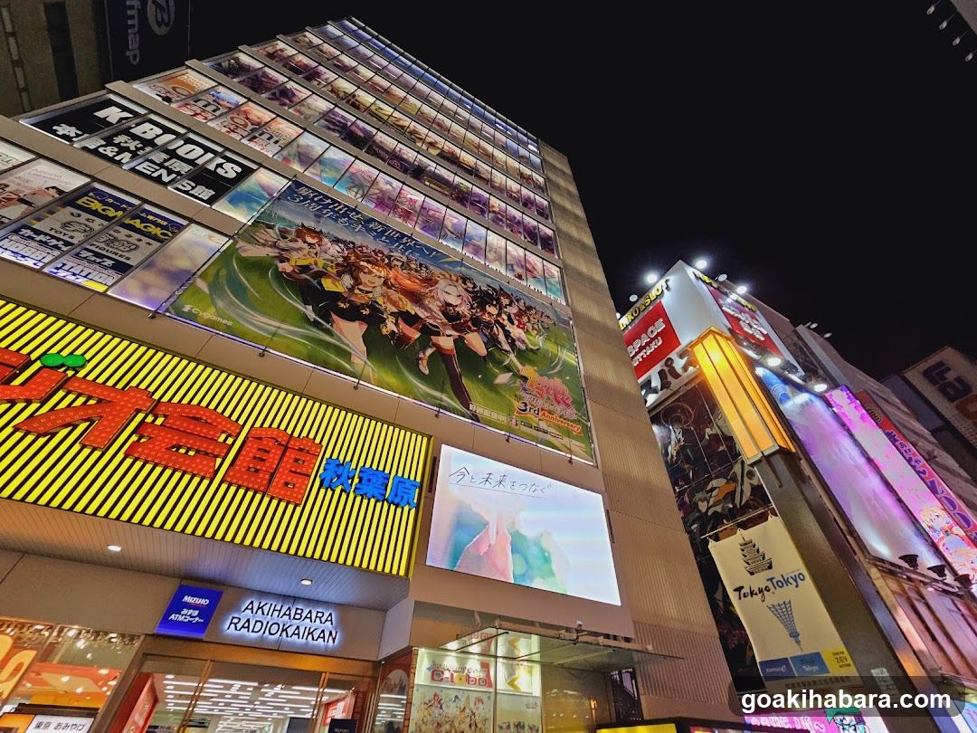 Akihabara Street Night View
