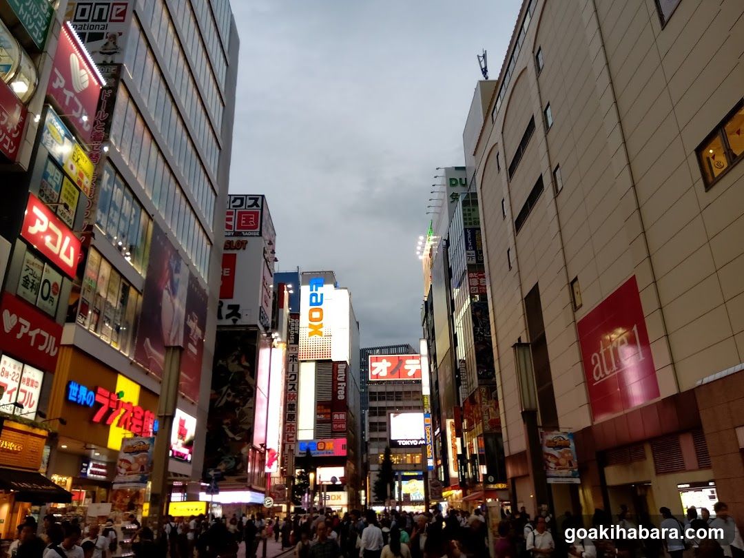 Shibuya Crossing Street View