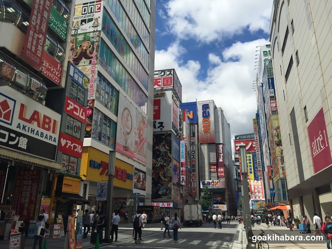 Akihabara Street Scene