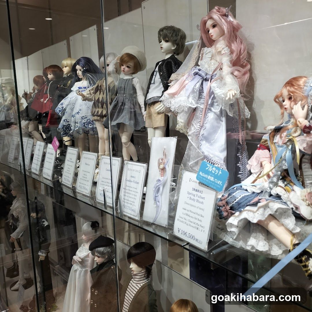 Doll Display Case