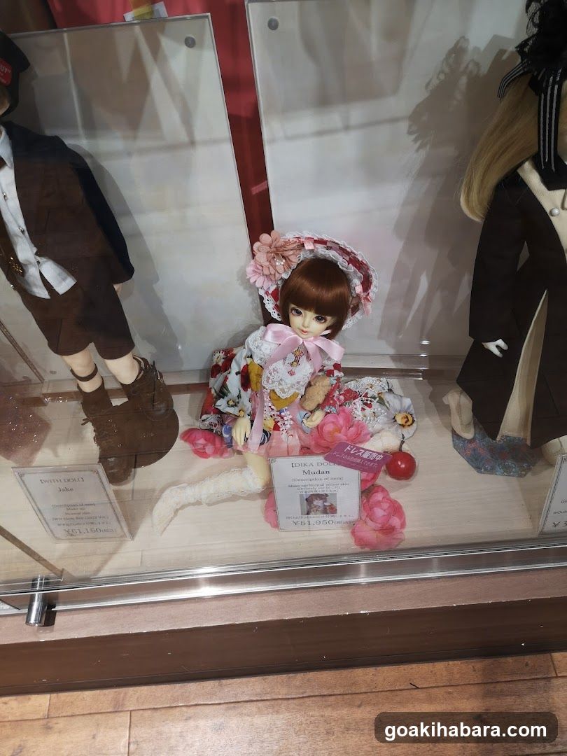 Doll Display Case