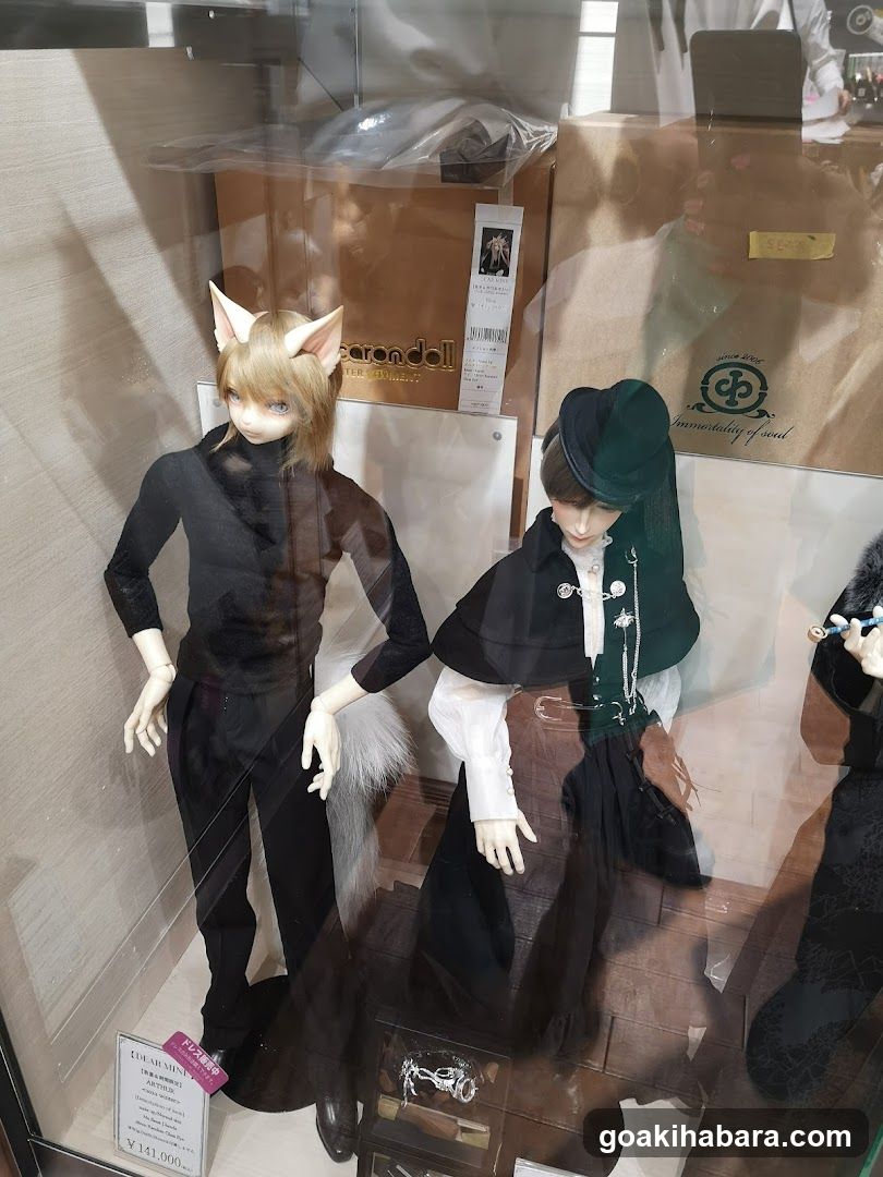 Bishoujo Doll Display