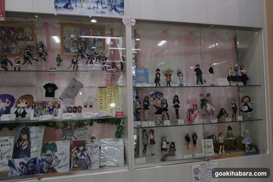 Anime Merchandise Display Case
