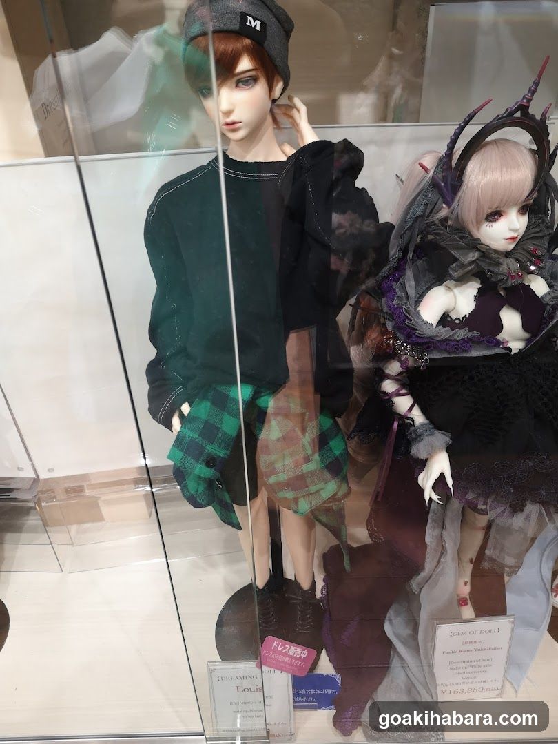Doll Display Case